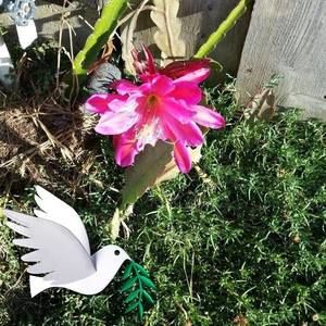 Meet your Posher, Phuong